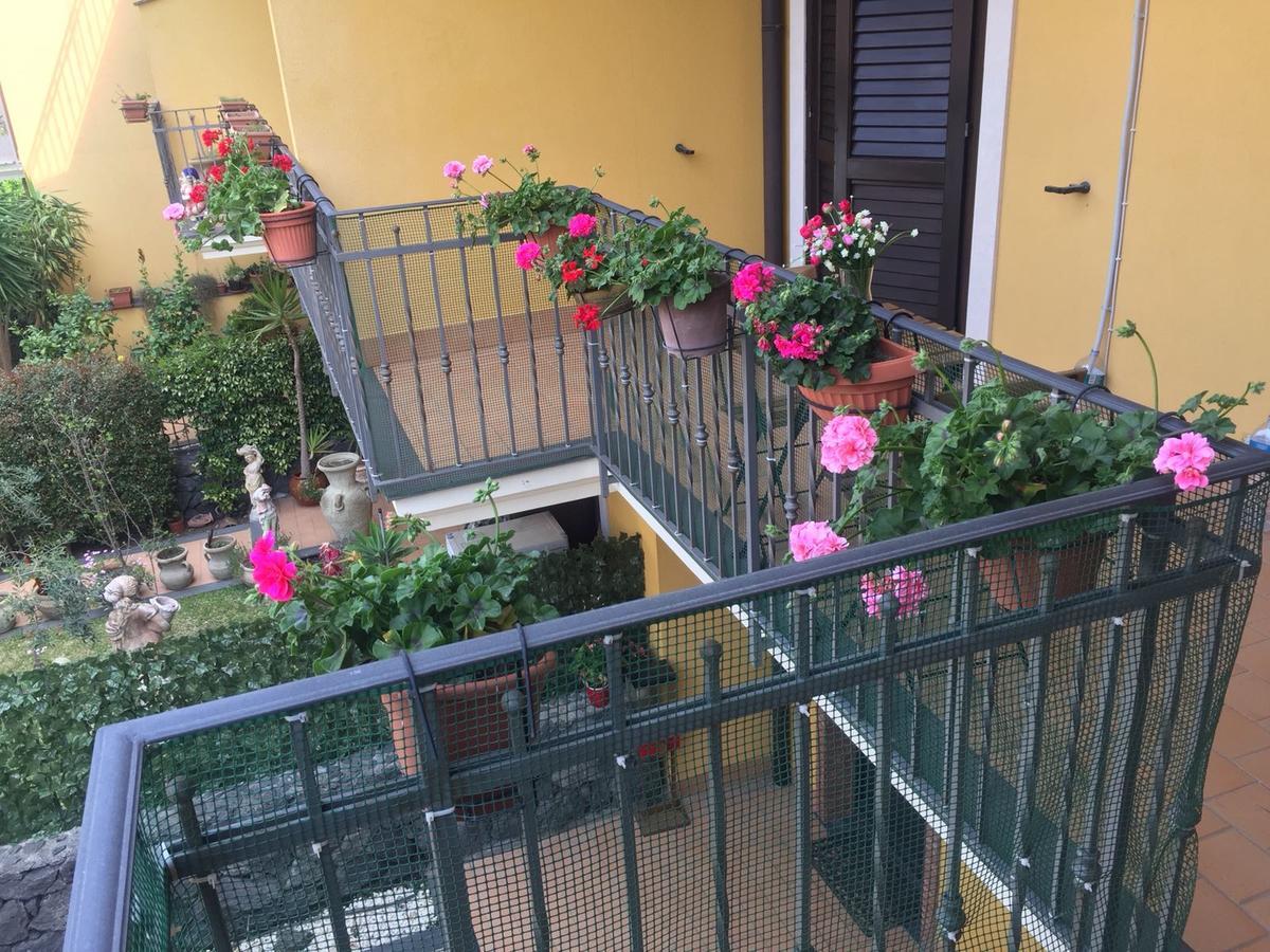 Gli Ulivi Dell'Etna Hotel Linera Buitenkant foto