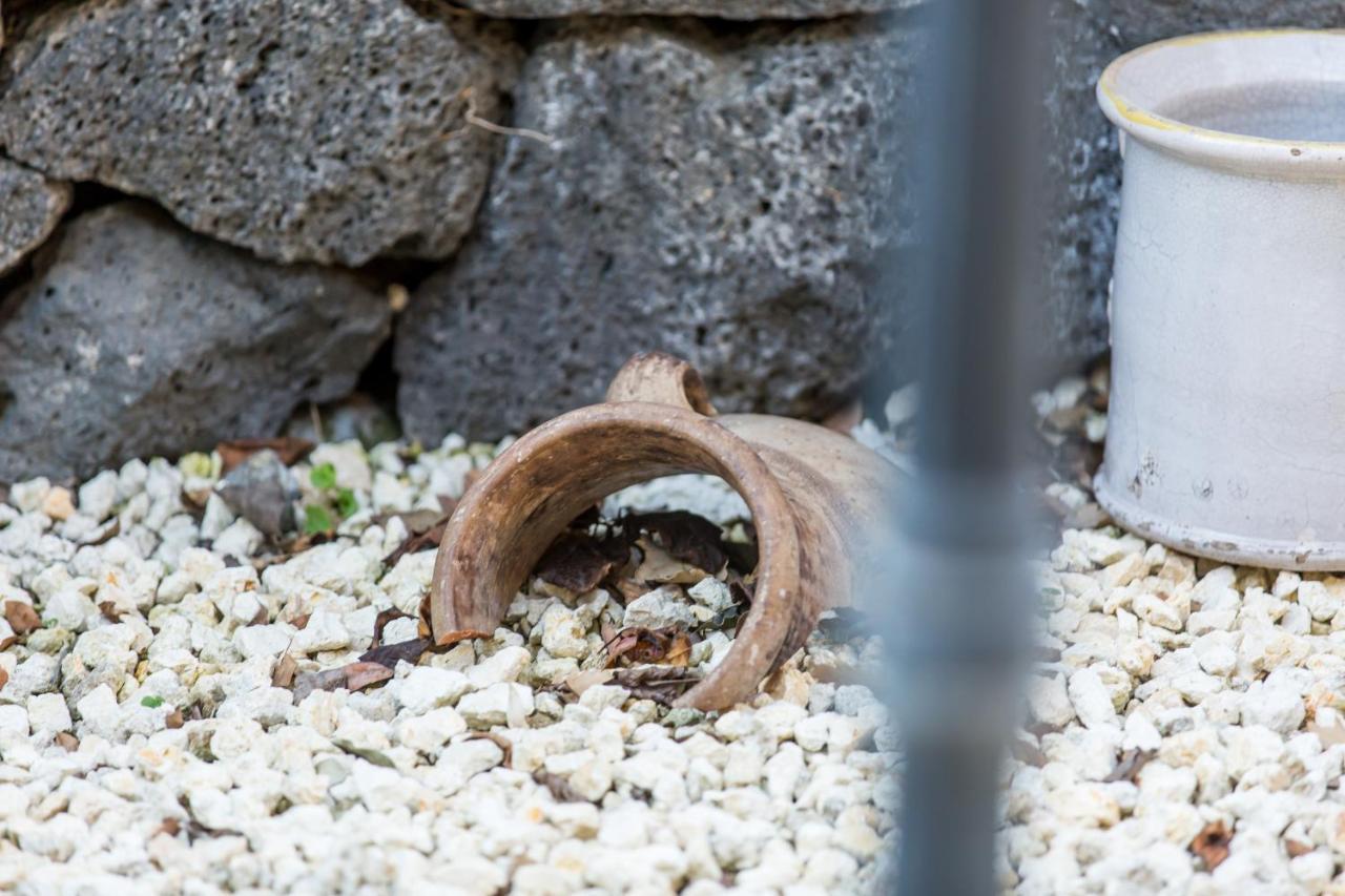 Gli Ulivi Dell'Etna Hotel Linera Buitenkant foto